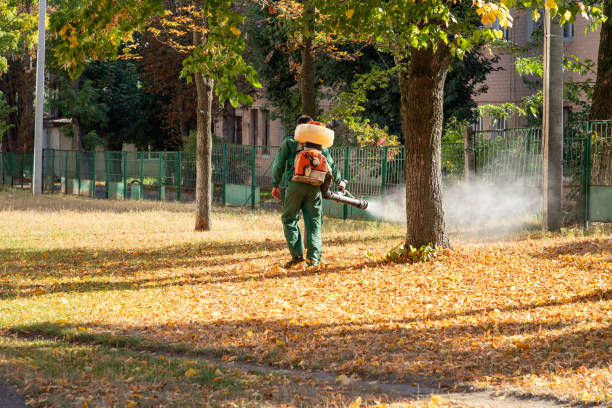 Best Insect Control  in Nambe, NM